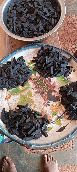 All You Need to Know About Okpeye Nsukka